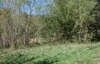 Teren intravilan 1500 mp pentru casa de vacanta - 6