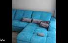 De vanzare apartament 3 camere Pipera-Aviatiei sector 1
