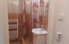 Spatiu comercial Pta Mihai Viteazul - 3