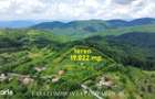 TEREN 19.822 MP, CADRU NATURAL MINUNAT - 8