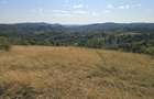15 Hectare teren la munte ?inutul Padurenilor - 13