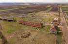 Fermă cu teren intravilan de 35000 mp în Mișca - 15