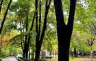 Vânzare apartament 3 camere | Vatra Luminoasă – Strada Victor Manu | V