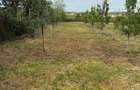 Vand casa, curte ?i gradina suprafa?a totala de 1645 mp - 3