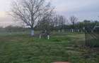 Inchiriez in Timisoara teren intravilan