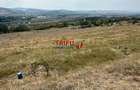 Teren pentru relaxare și agricultură în Barabant, Alba Iulia – Ex