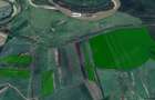 116 ha teren arabil la Secusigiu, 30 km distanta de municipiul Arad - 2