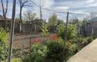 Casă cu Teren 1263 Mp în Valea Mărului - 2