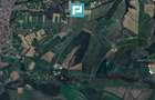 Teren Extravilan 4,5 hectare in Lipova - 2