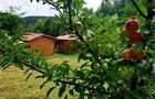 RATE Pensiune 12 cam Superba*** malul Lac Mocearu piscina ,16277mp - 15
