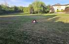 Vila 6 camere Snagov