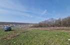 Aroneanu 1650 mp inntravilan , langa padure , view spre lac - 2