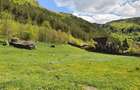 Terenuri intravilane de vanzare Lepsa, Vrancea - 4
