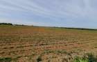 De Vanzare Teren Intravilan - zona noua in dezvoltare - 3