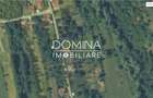 Vânzare casă tradițională și teren generos – Cîrțînești, Scoarța - 10