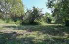 Casa de vanzare | Teren 3.000 mp | Izvor | Manesti - Coada Izvorului