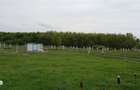 Teren intravilan 31 parcele, situate in comuna Gepiu, Bihor - vanzare - 9
