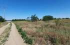 vand teren intravilan Malu Mare 1500 mp - strada Salcamilor - 4