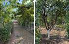 Casa in Bistret, Str. Unirii teren 1540 mp - 8