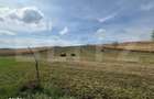 Teren intravilan, 78 ari, zona Moara - 1