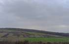 teren Barnova Todirel - 7
