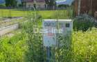 Teren de vanzare Alexandru cel Bun 20.000 Euro 735mp - 6