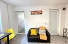 Apartament Cu 2 Camere, Zona Piata 1 Mai - 13