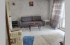 Apartament 2 camere de inchiriat Dristor Langa Farmacia Tei Park Lake - 11