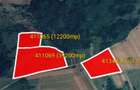 Vand aproximativ 12 hectare in cutina - 1