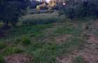 Vand teren cu pomi fructiferi + teren agricol