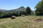 Teren intravilan in centru Garcina, jud.Neamt - 5