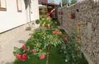 OFERTA Proprietate deosebita Teleac - casa, teren 2000 mp, foisor, gratar zidit - 2