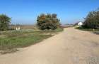 Vand teren intravilan,in Livada,langa case,ptr.diverse constructii,in supraf.de 13744 mp. - 7