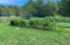 Teren intravilan de vanzare, 850 mp, acces pavat - 3