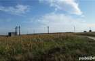 Teren agricol zona Gradinari langa balta Hobaia - Accept Schimburi - 5