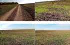 Teren extravilan Barlogu; ID: R2825534 - 8