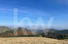 De vanzare teren in Paltinis 40.000 EUR - 6