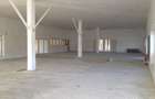 Vand urgent hala 500 mp in Brad jud. HD - 8