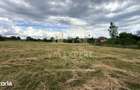 CASA CU TEREN INTRAVILAN 6997 MP BUGHEA DE SUS ARGE? - 12