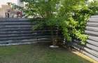 Casa 4 Camere I TUNARI I Langa Padure I 50 mp Gradina - 23