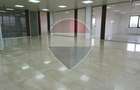 Spatiu industrial – Afumati, Sos. Bucuresti-Urziceni - 14
