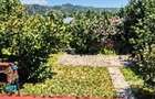 PROPRIETAR- Vila Breaza, 200 mp utili, 850 mp teren - 8