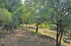 Vand teren intravilan Mustesti (com. Gurahont)