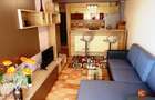Apartament cu 2 camere de inchiriat in zona Doamna Stanca - 4