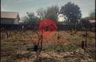 Teren Intravilan 500mp Eforie Nord