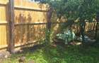 Casa renovata cu livada 3400 mp Icoana, Olt