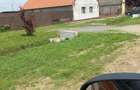 Teren intravilan 1.439mp de vanzare ! - 1
