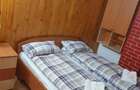Cabana de tip duplex in Straja Lupeni - 5