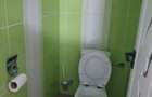 inchiriere 2 camere 13 septembrie ispirescu birou magazin online depo - 9