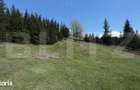 Teren intravilan si extravilan 23000 mp, front 150 ml, Sadova - Bucov - 8